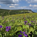 Плато Лаго-Наки